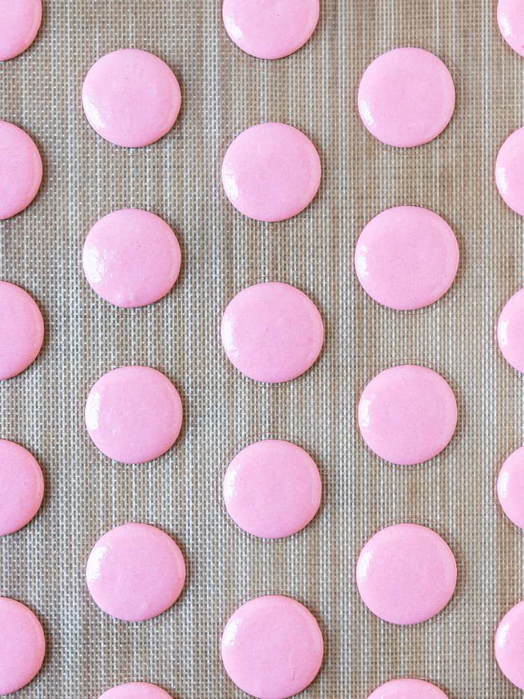 The pink macarons piped onto a baking sheet