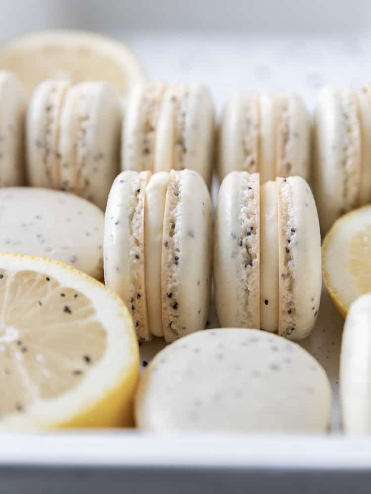 A side view of lemon poppy seed macarons with cut lemons next to them