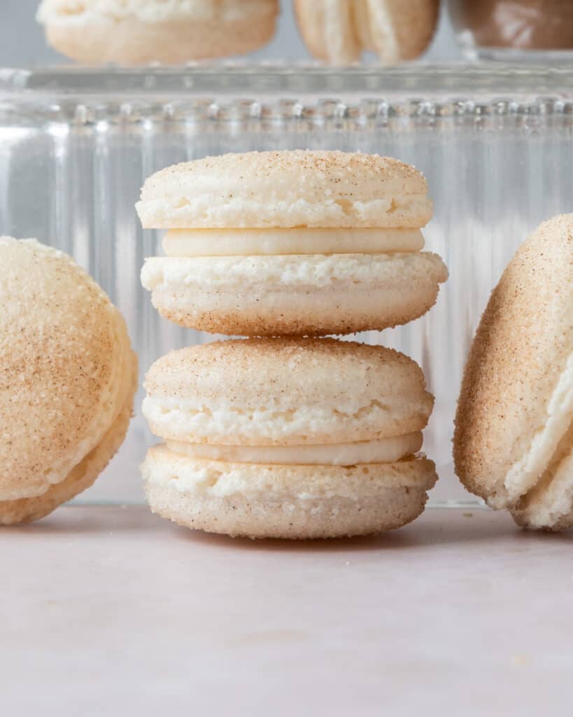 two snickerdoodle macarons stacked on top of each other