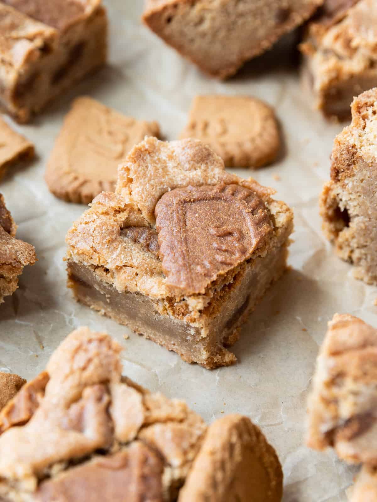 a biscoff blondie on parchment paper surrounded by other blondies and biscoff cookies