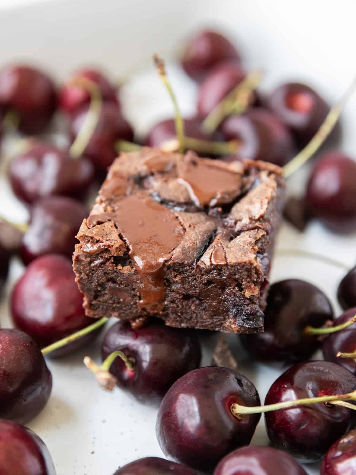 a cherry brownie sitting on top of fresh cherries on a white background