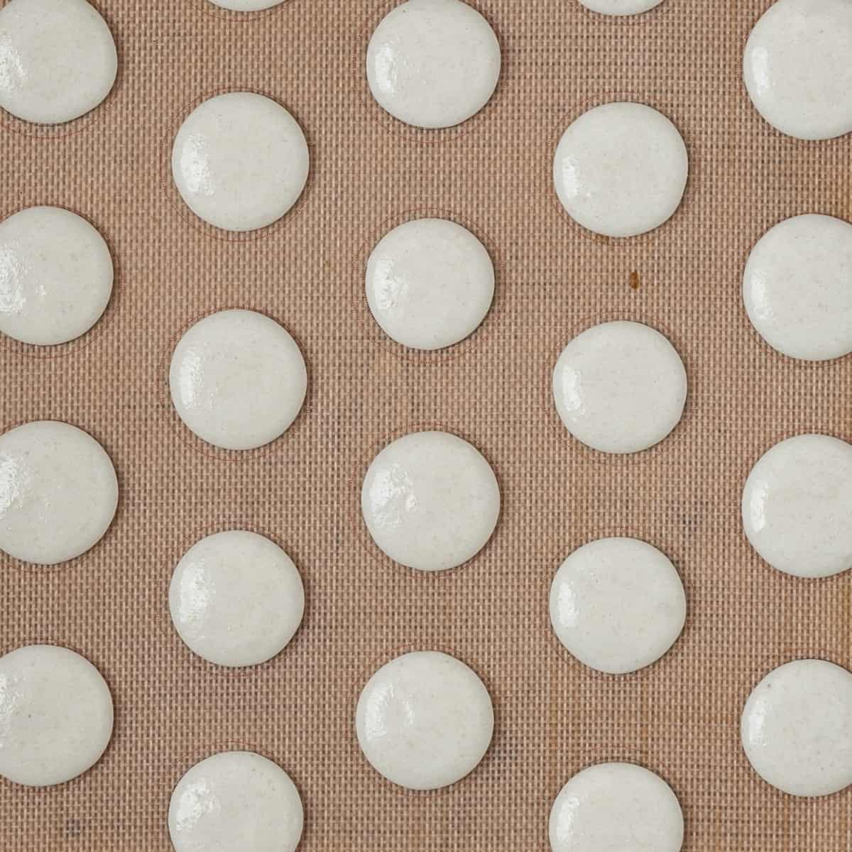 the macarons piped onto a silicone mat before baking.