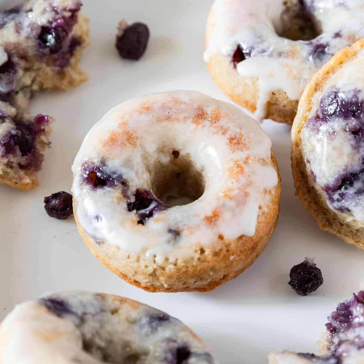 several blueberry donuts on a white background surrounded by fresh blueberries.