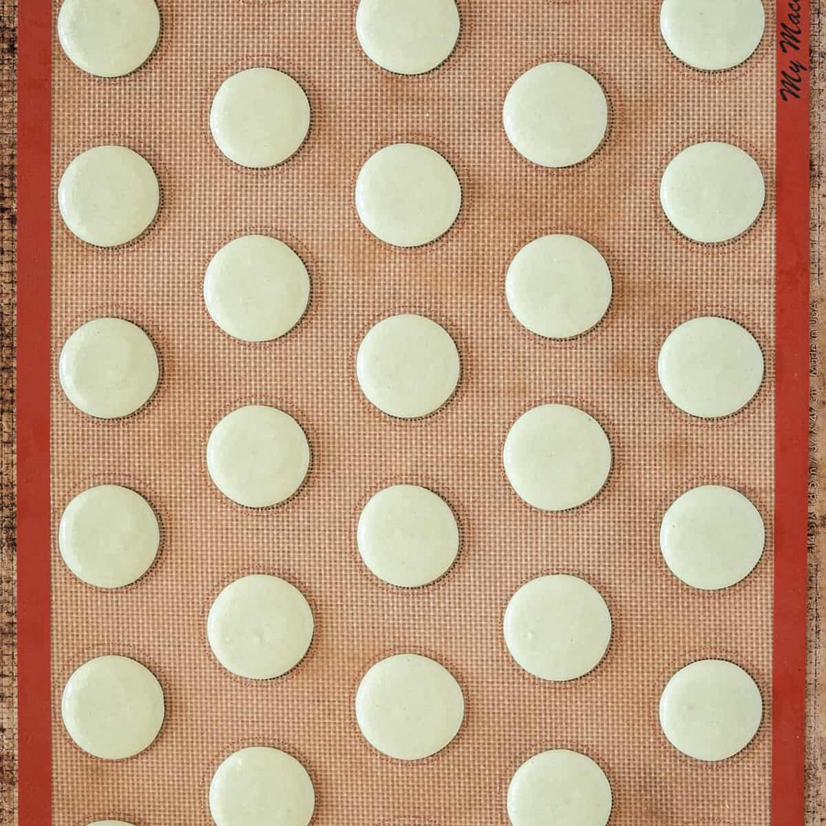 the macarons piped onto a baking sheet.