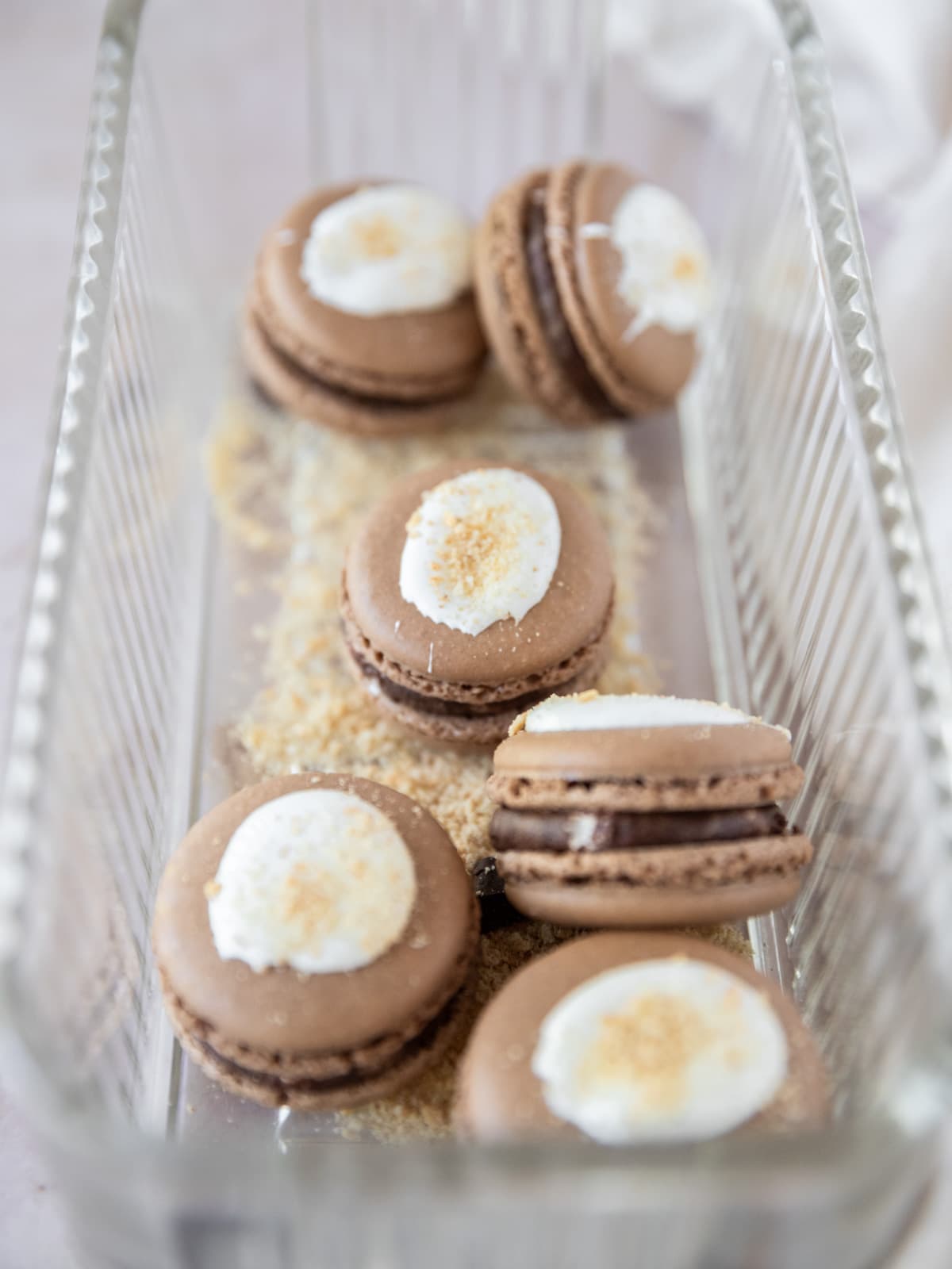 several smore macarons in a glass dish with graham cracker crumbs.